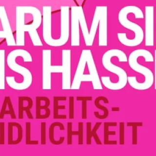 ein pinker Buchumschlag mit einem Regenschirm. Das Buch heisst: Warum sie uns hassen.Sexarbeitsfeindlichkeit.